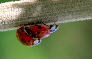 Sexuelle Wünsche – wie spreche ich diese an?