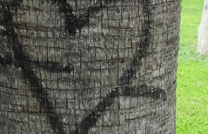 Eifersucht - was ist erlaubt? Was geht zu weit?